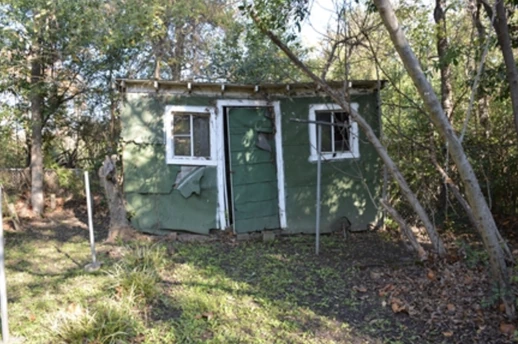 Small green chicken house in a wooded yard