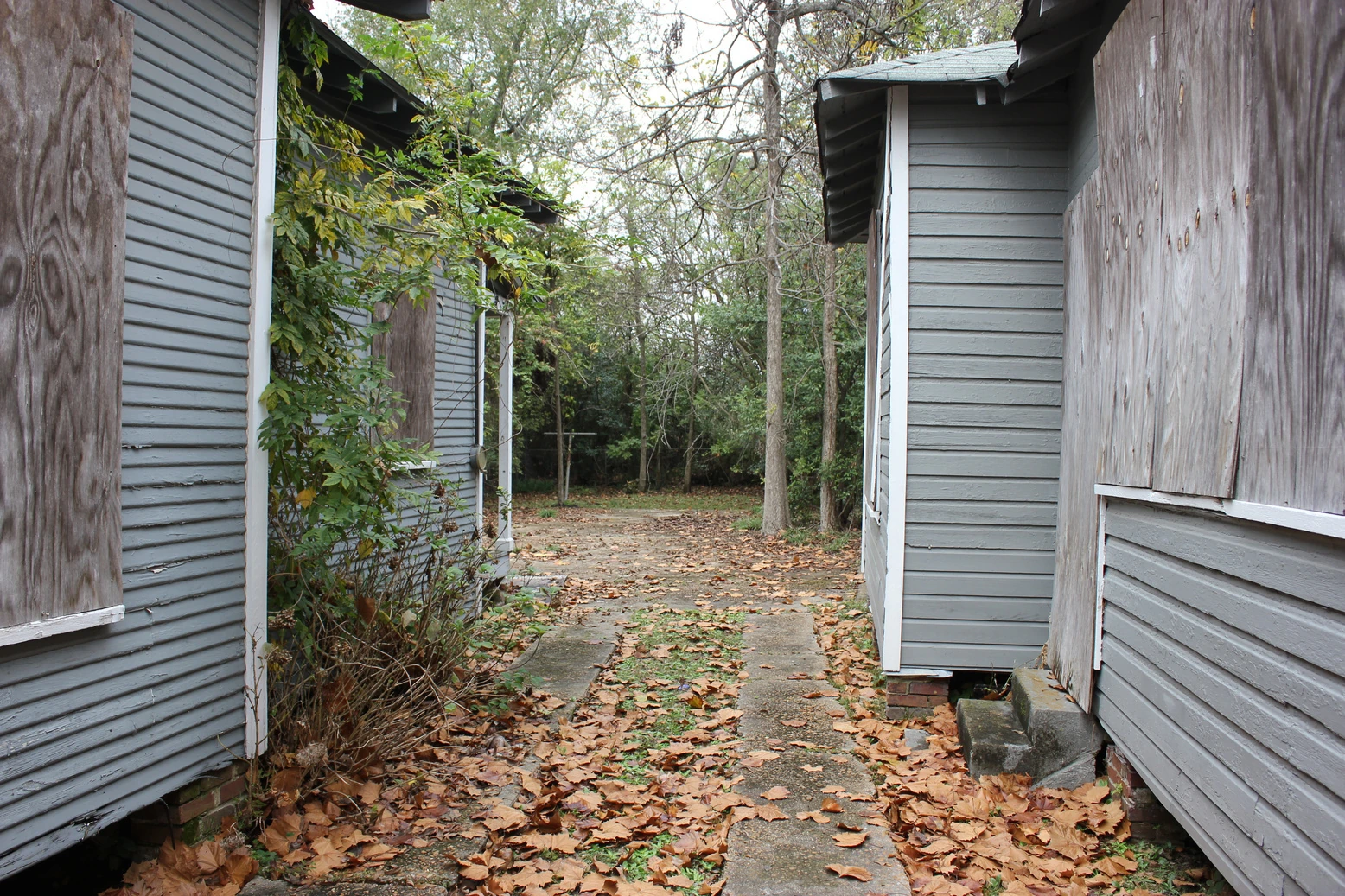 Leaf-covered path running between two wood-frame houses